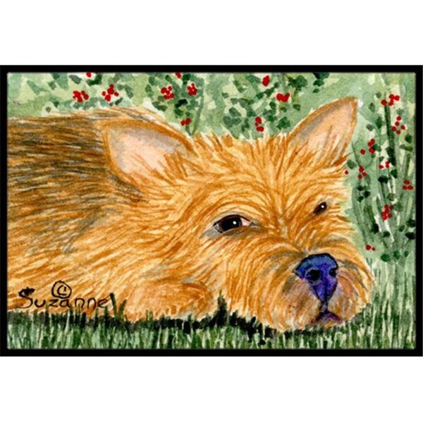 Carolines Treasures SS8862MAT Norwich Terrier Indoor Outdoor Mat - 18 x 27 in. SS8862MAT - main